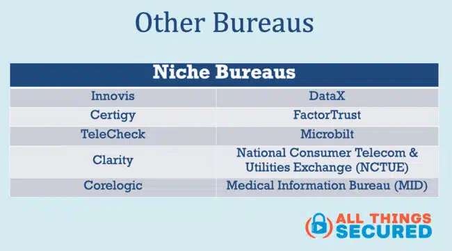Other niche credit bureaus