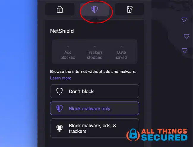 Proton VPN Netshield setting