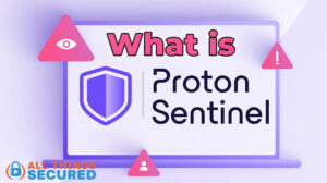 What is Proton Sentinel
